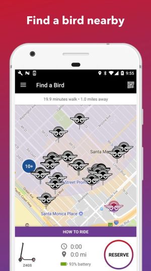 app bird trottinette libre service