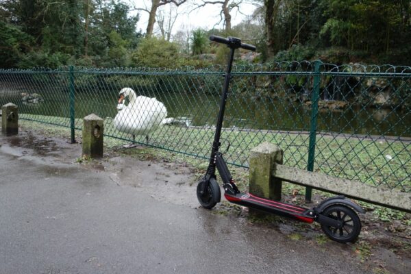 etwow booster s entête cygne