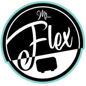 logo monsieur flex