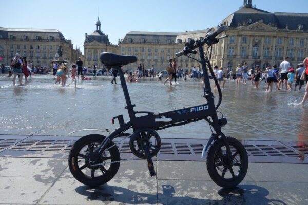 Fiido D1 miroir d'eau bordeaux